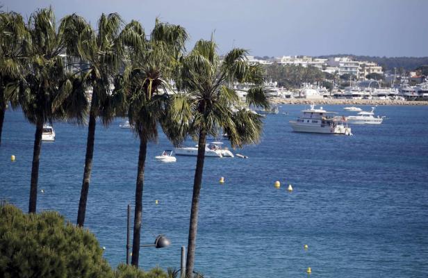 Palmen säumen eine Küstenlinie mit Yachten und Gebäuden im Hintergrund.