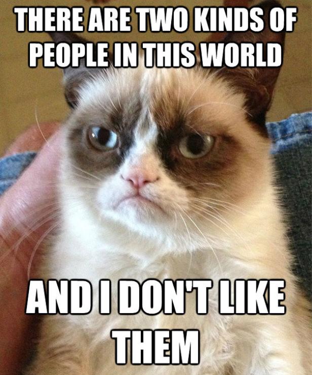 "Free Grumpy Cat": Kritik an Mashable-Aktion