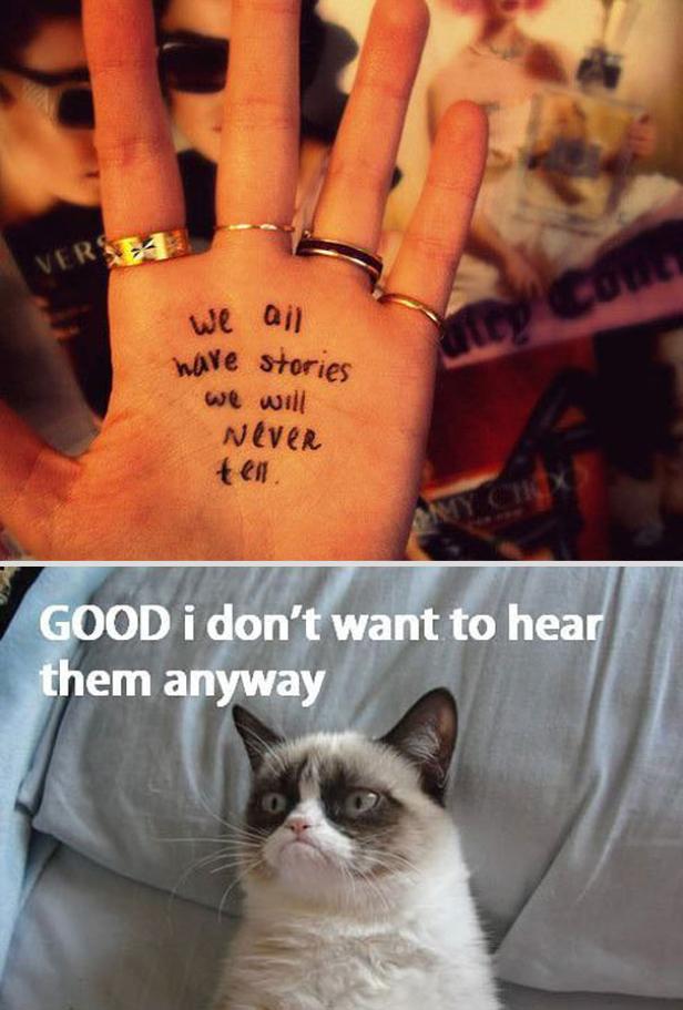 Nach Grumpy Cat: Dicker Kater wird Kultfigur
