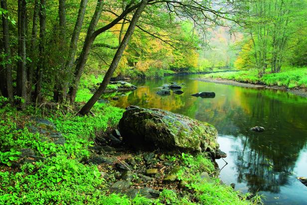 Umweltdachverband: "Unsere Nationalparks sind zu klein"