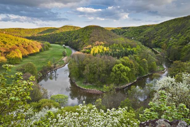 Umweltdachverband: "Unsere Nationalparks sind zu klein"