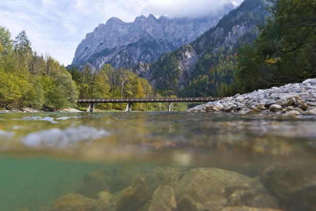 Umweltdachverband: "Unsere Nationalparks sind zu klein"