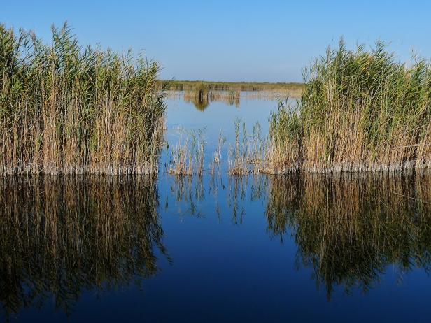 Umweltdachverband: "Unsere Nationalparks sind zu klein"