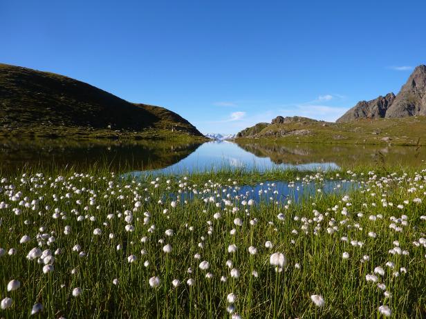 Umweltdachverband: "Unsere Nationalparks sind zu klein"