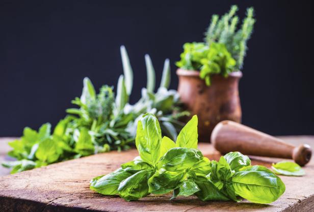 Wie Kräuter bei Haarproblemen helfen können
