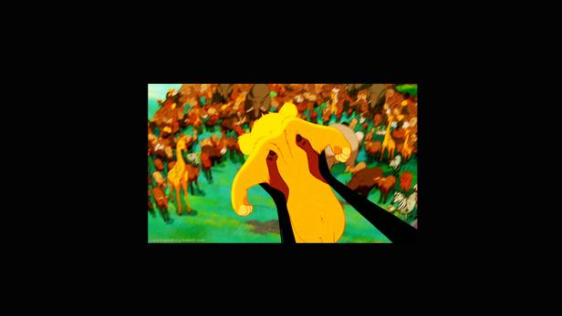 Simba wird in „Der König der Löwen“ vor den versammelten Tieren präsentiert.