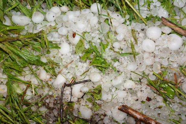 Hagel bedeckt Gras und Blätter auf dem Boden.