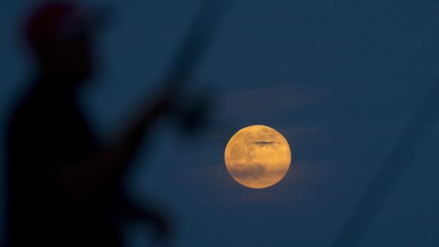 Ein gelber Vollmond leuchtet am dunklen Nachthimmel.
