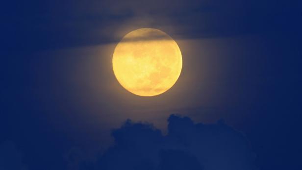 Ein gelber Vollmond leuchtet am dunklen Nachthimmel.