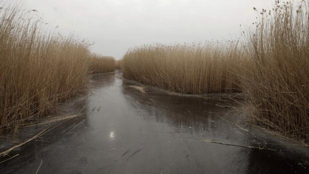 Ein schmaler, zugefrorener Wasserweg ist von hohem Schilfgras gesäumt.
