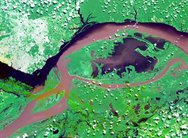 Eine Satellitenansicht des Amazonas-Flusses und des umliegenden Regenwaldes.