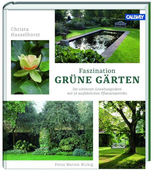 … Wenig Farbe, viel Ruhe