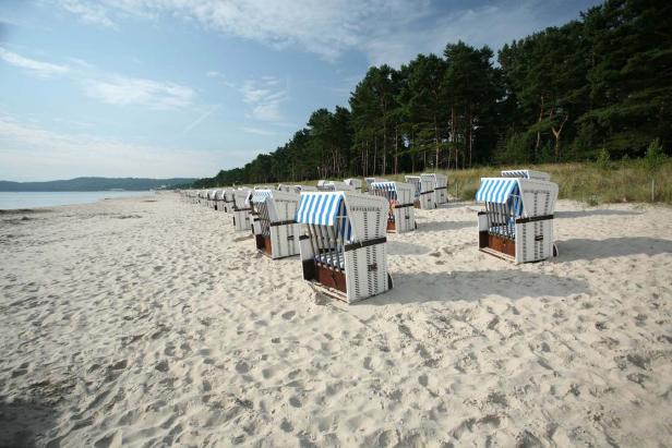 Viele Strandkörbe stehen am Sandstrand unter blauem Himmel.