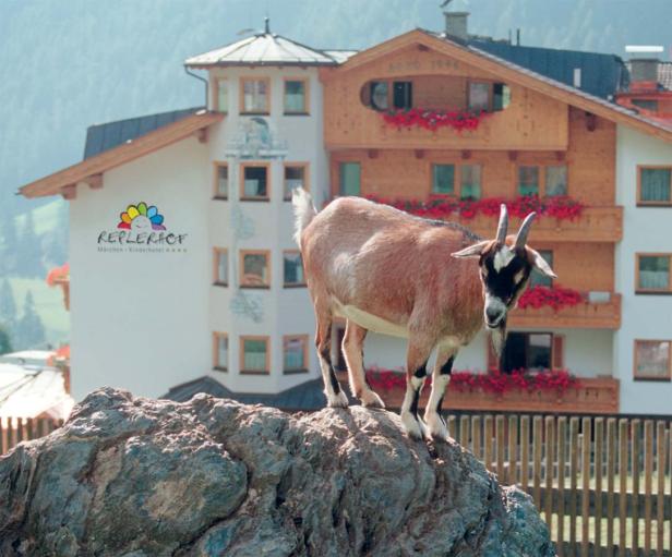 Eine Ziege steht auf einem Felsen vor dem „Replerhof“ Märchen-Kinderhotel.