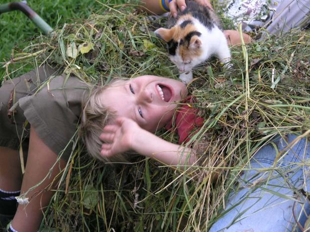 Ein lachendes Kind liegt im Gras, während eine Katze auf ihm sitzt.