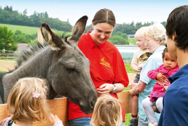 Kinder und Erwachsene interagieren mit einem Esel auf einem Bauernhof.