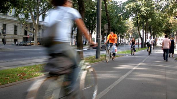 Auf einem Radweg fahren mehrere Radfahrer und Fußgänger gehen spazieren.