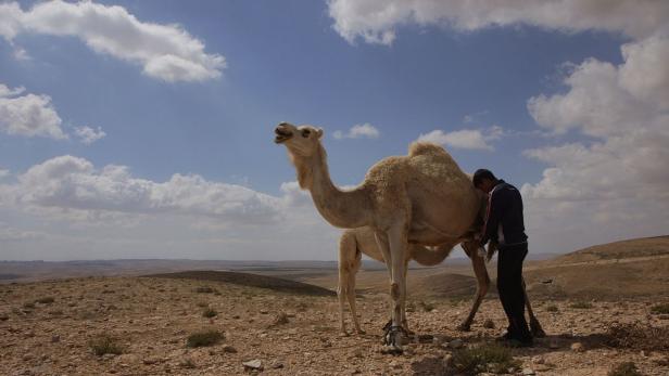"Desert Kids": Wie leben Jugendliche in der Negev-Wüste?