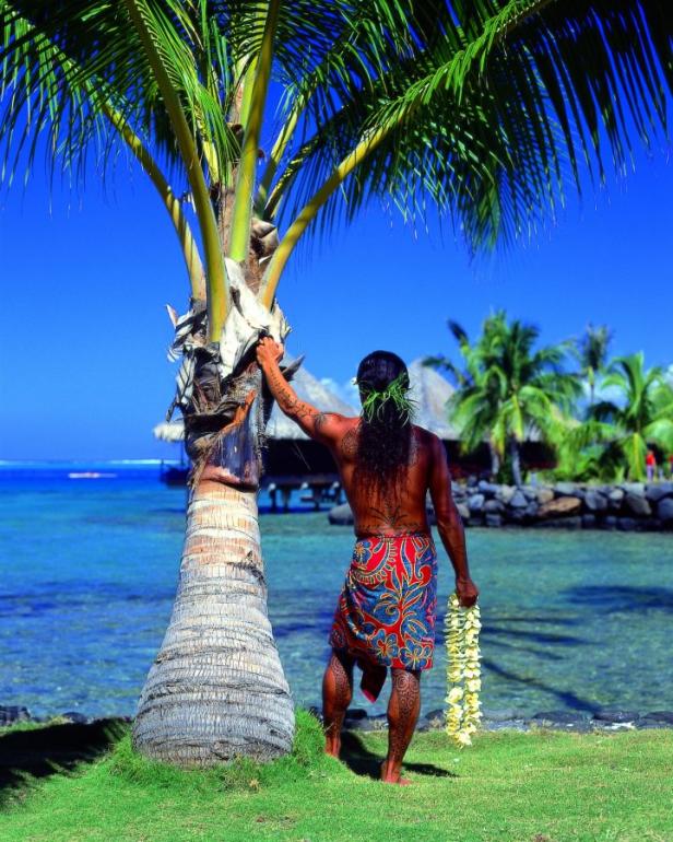Ein polynesisch aussehender Mann mit Tätowierungen steht mit einer Blumenkette an einer Palme am Strand.