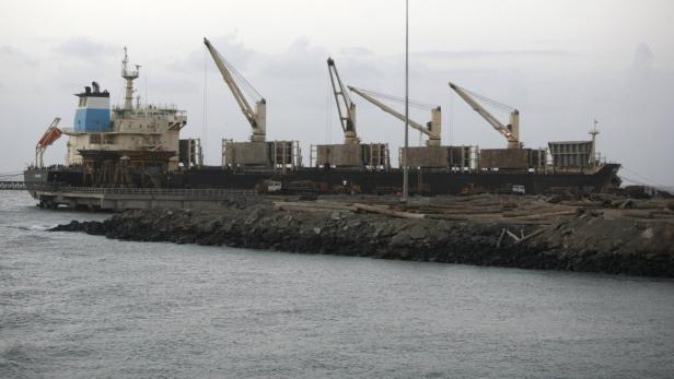 Ein Frachtschiff liegt mit Kränen an einem Kai mit Baumstämmen vor einem bewölkten Himmel.