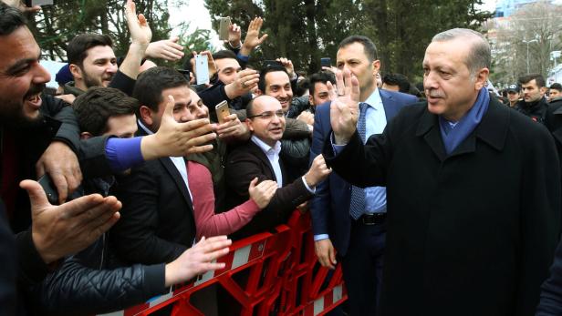 Pilz: Wahlkampfauftritt Erdogans "unterbinden"
