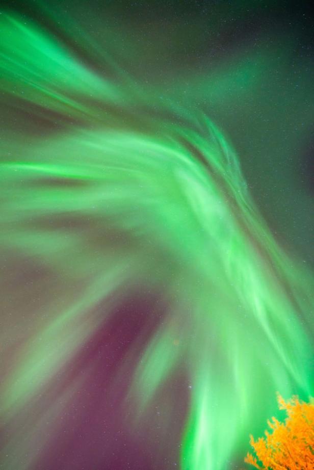 Grüne Nordlichter erleuchten den Nachthimmel.