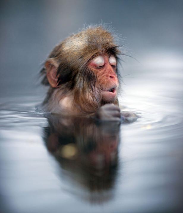 Salzburg unter den 10 besten Winterdestinationen