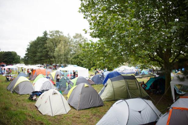 Babyshambles sagen Auftritt am Frequency ab