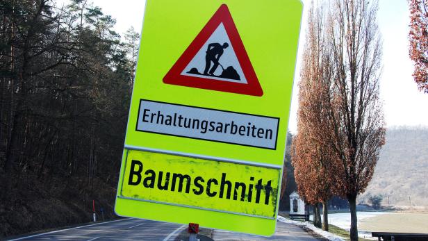 Bürgerproteste gegen Kahlschläge