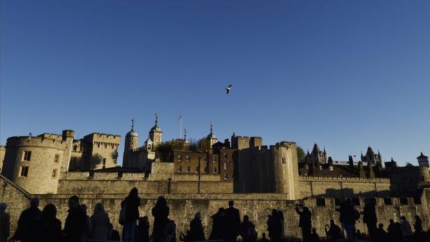 Der Tower of London unter blauem Himmel mit einer Möwe im Flug.