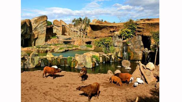 Europas beliebteste Zoos - die Top 10