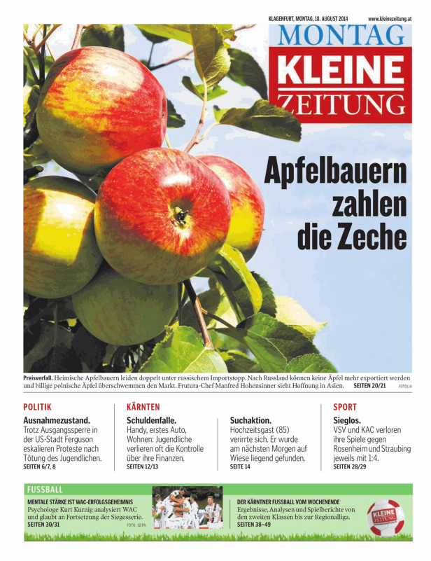 Mehrere Äpfel hängen an einem Baum.