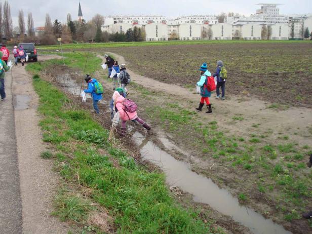 Eine Gruppe von Kindern sammelt Müll in der Natur.