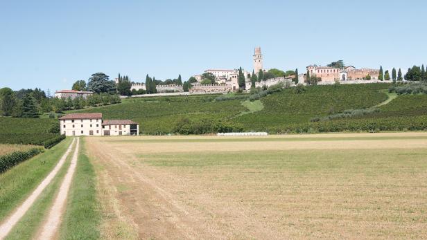 Prosecco ist nicht gleich Prosecco