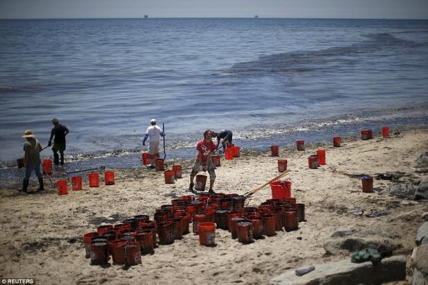 Freiwillige säubern einen Strand von Ölverschmutzungen und füllen Eimer.