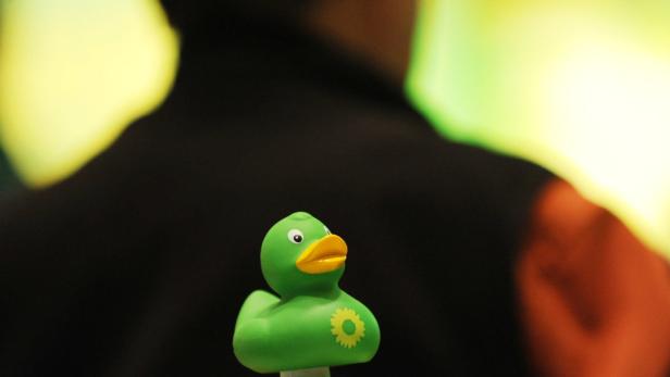 Eine grüne Gummiente mit einer gelben Blume auf der Brust.