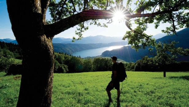 Ein Wanderer steht auf einer grünen Wiese und blickt auf einen See und Berge im Hintergrund.