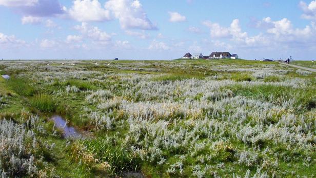 Überflutete Insel-Schätze der Nordsee