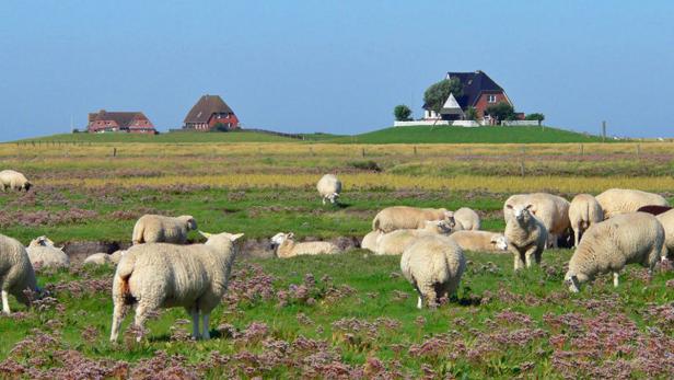 Überflutete Insel-Schätze der Nordsee