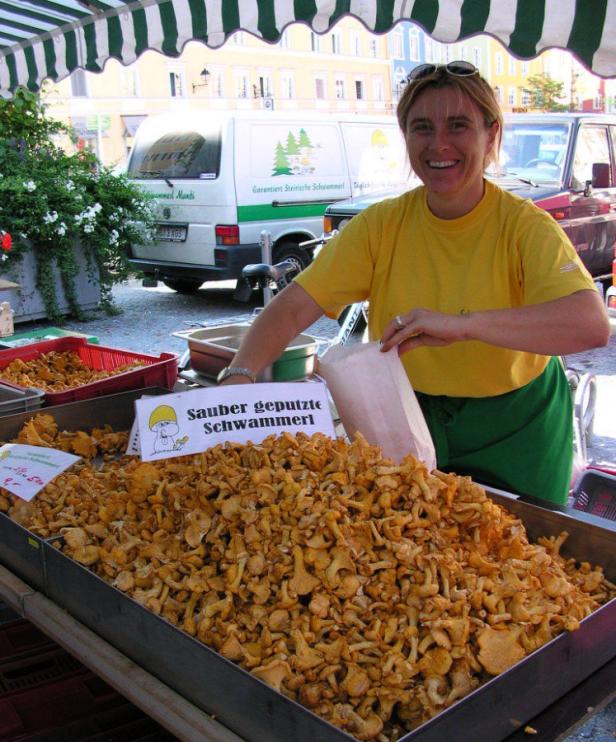 Schneller Teller: Eierschwammerlsalat, Palatschinke