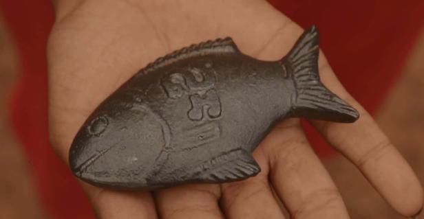 Eisenmangel: Wie ein kleiner Fisch hilft
