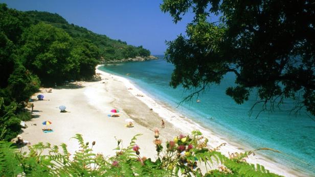 Ein Sandstrand mit türkisfarbenem Wasser und grüner Vegetation im Hintergrund.