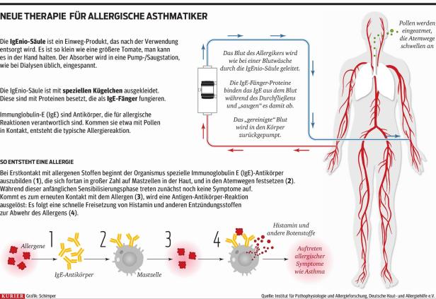 Start in die Pollensaison: So funktioniert die neue Allergie-Therapie
