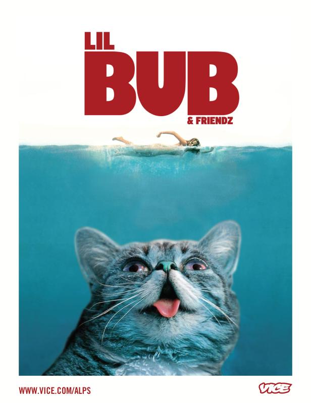 Ein Poster mit der Katze Lil Bub unter Wasser und einer schwimmenden Person.