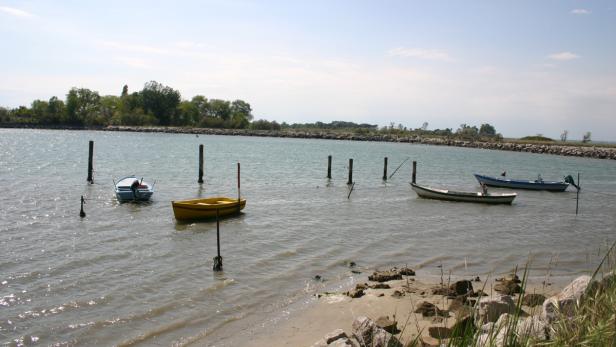 Mehrere kleine Boote dümpeln im ruhigen Wasser vor einer bewaldeten Küste.