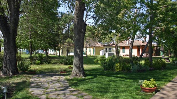 Ein gepflegter Garten mit Bäumen und mehreren kleinen Häusern im Hintergrund.