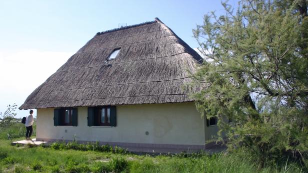 Ein Haus mit Reetdach und grünen Fensterläden in ländlicher Umgebung.