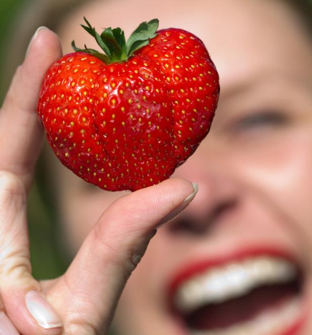 Lafer kocht mit den Jahreszeiten: Marmeladen & Konfitüren