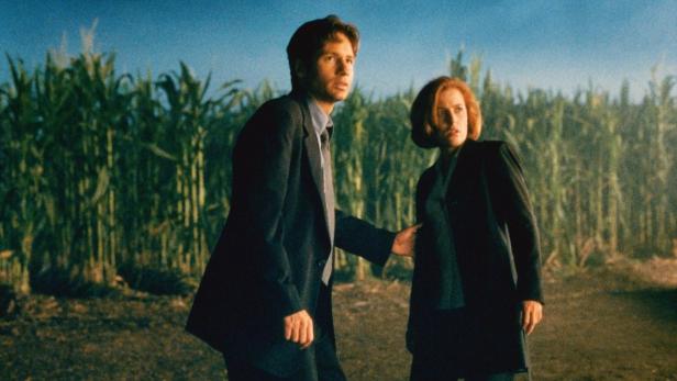 Fox Mulder und Dana Scully stehen vor einem Maisfeld.