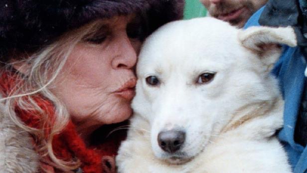 Brigitte Bardot gibt einem weißen Hund einen Kuss.